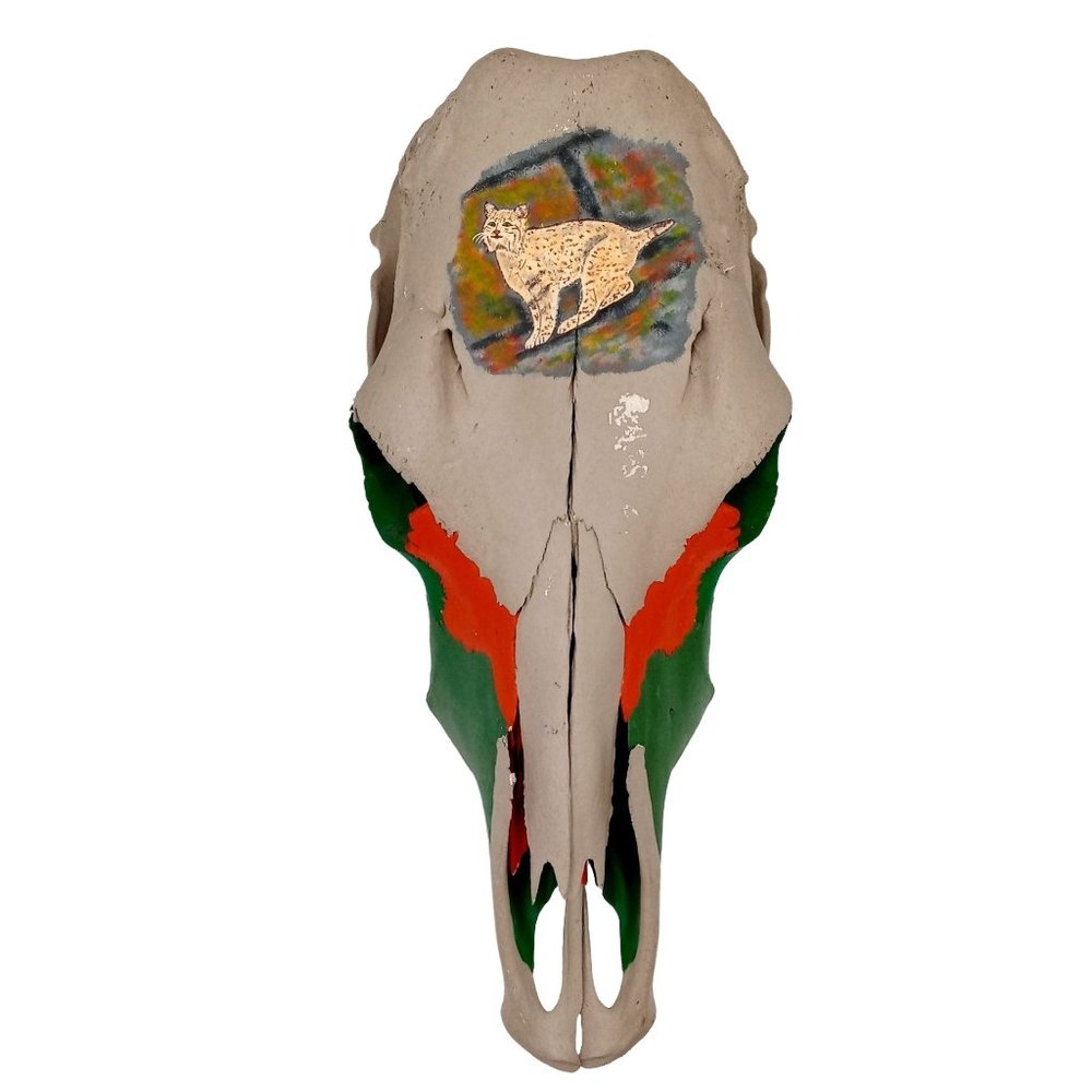 Hand-Painted Animal Skull Wall Art - Beige, Green & Orange